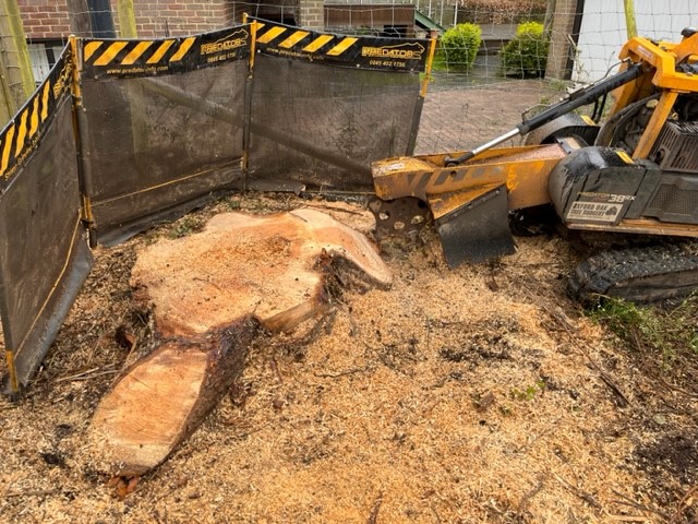 Stump removal